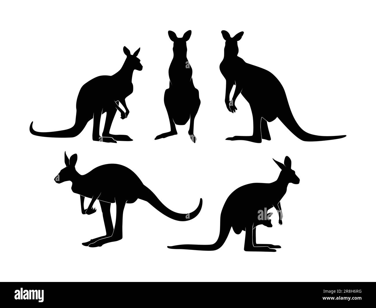 Ensemble de kangourous Silhouette isolé sur fond blanc - Illustration vectorielle Illustration de Vecteur