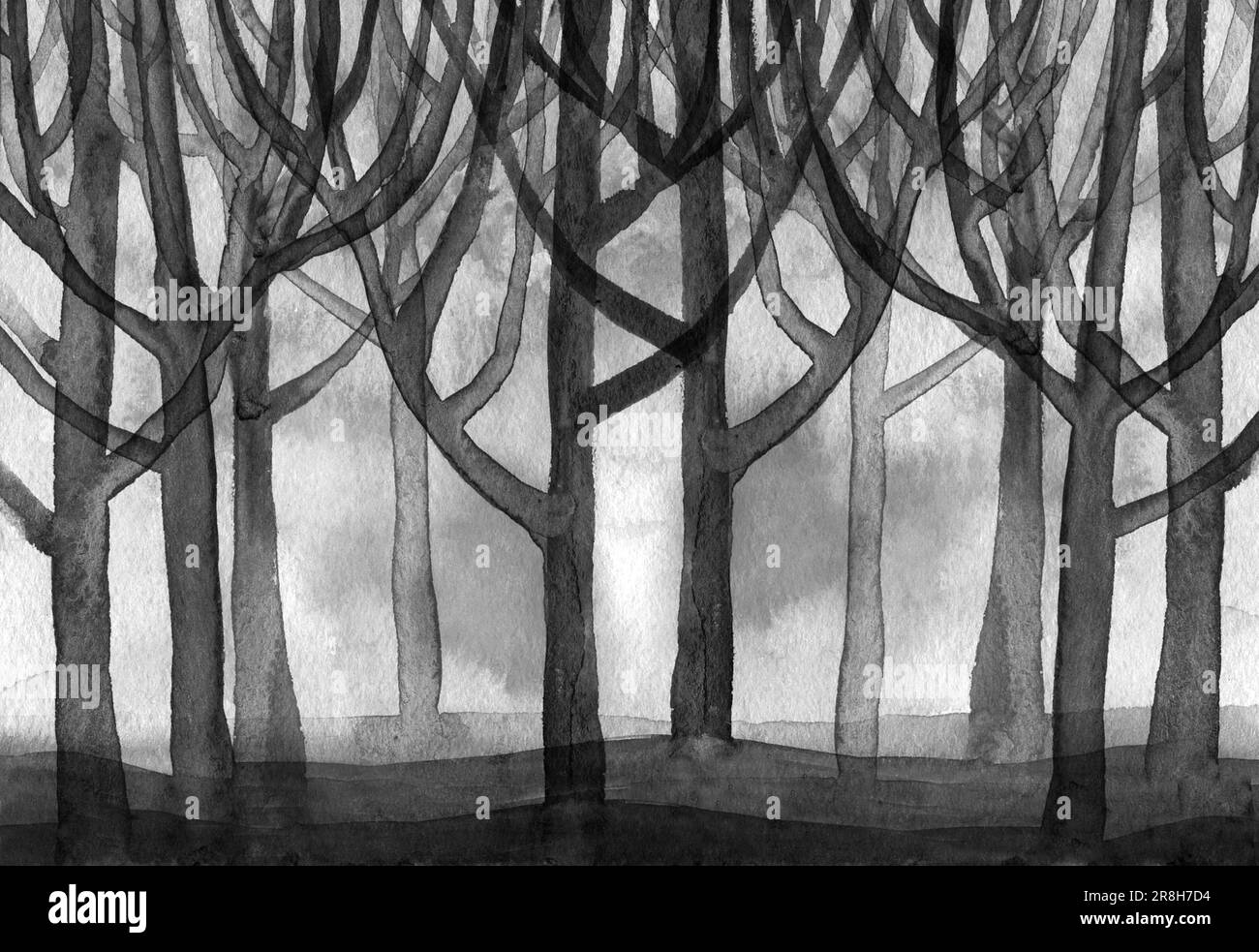 aquarelle paysage de l'air de la forêt illustration noir et blanc. Banque D'Images