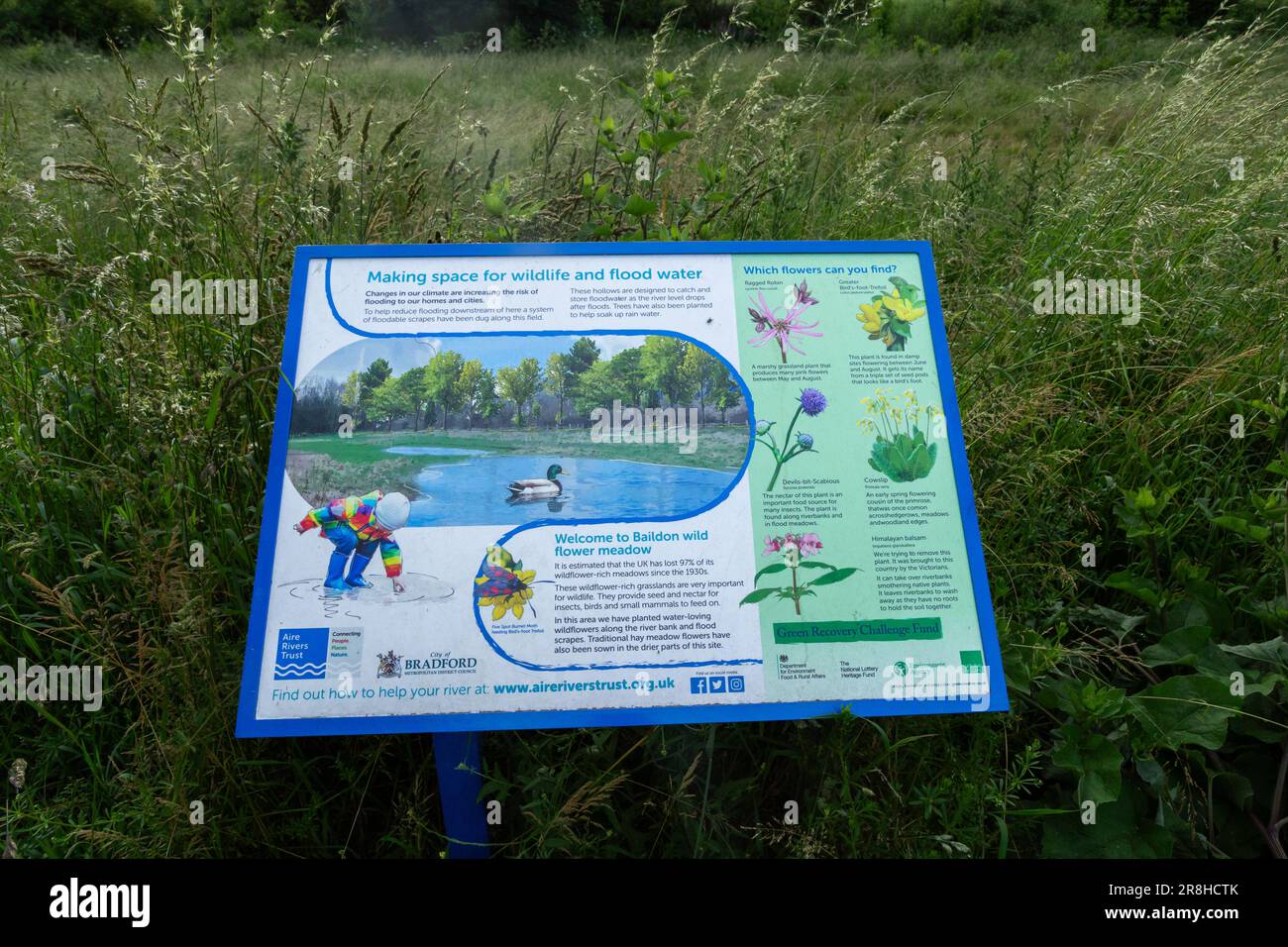 Panneaux d'affichage au bord d'un nouveau pré de fleurs sauvages planté sur un avion d'inondation à Baildon, dans le Yorkshire. Le pré a été semé sur des terres industrielles en friche. Banque D'Images