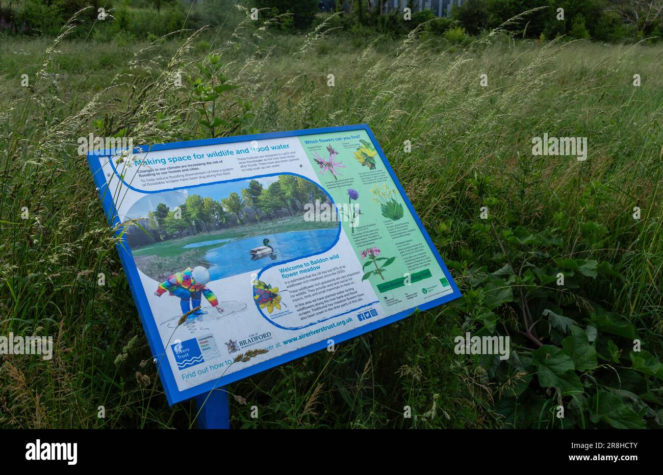 Panneaux d'affichage au bord d'un nouveau pré de fleurs sauvages planté sur un avion d'inondation à Baildon, dans le Yorkshire. Le pré a été semé sur des terres industrielles en friche. Banque D'Images