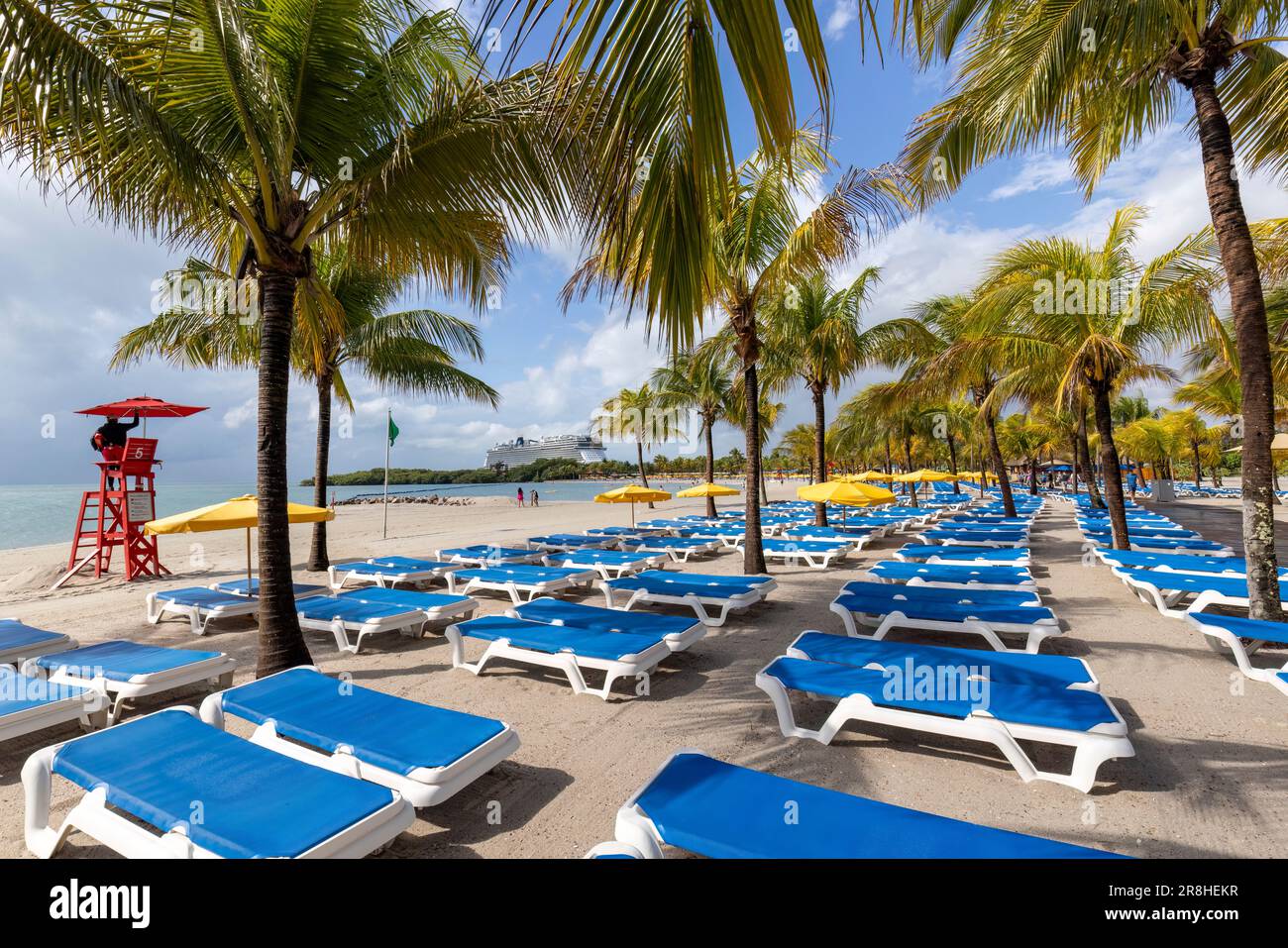 Chaises longues et palmiers sur la plage de Harvest Caye - île privée appartenant à la Norwegian Cruise Line à Belize Banque D'Images