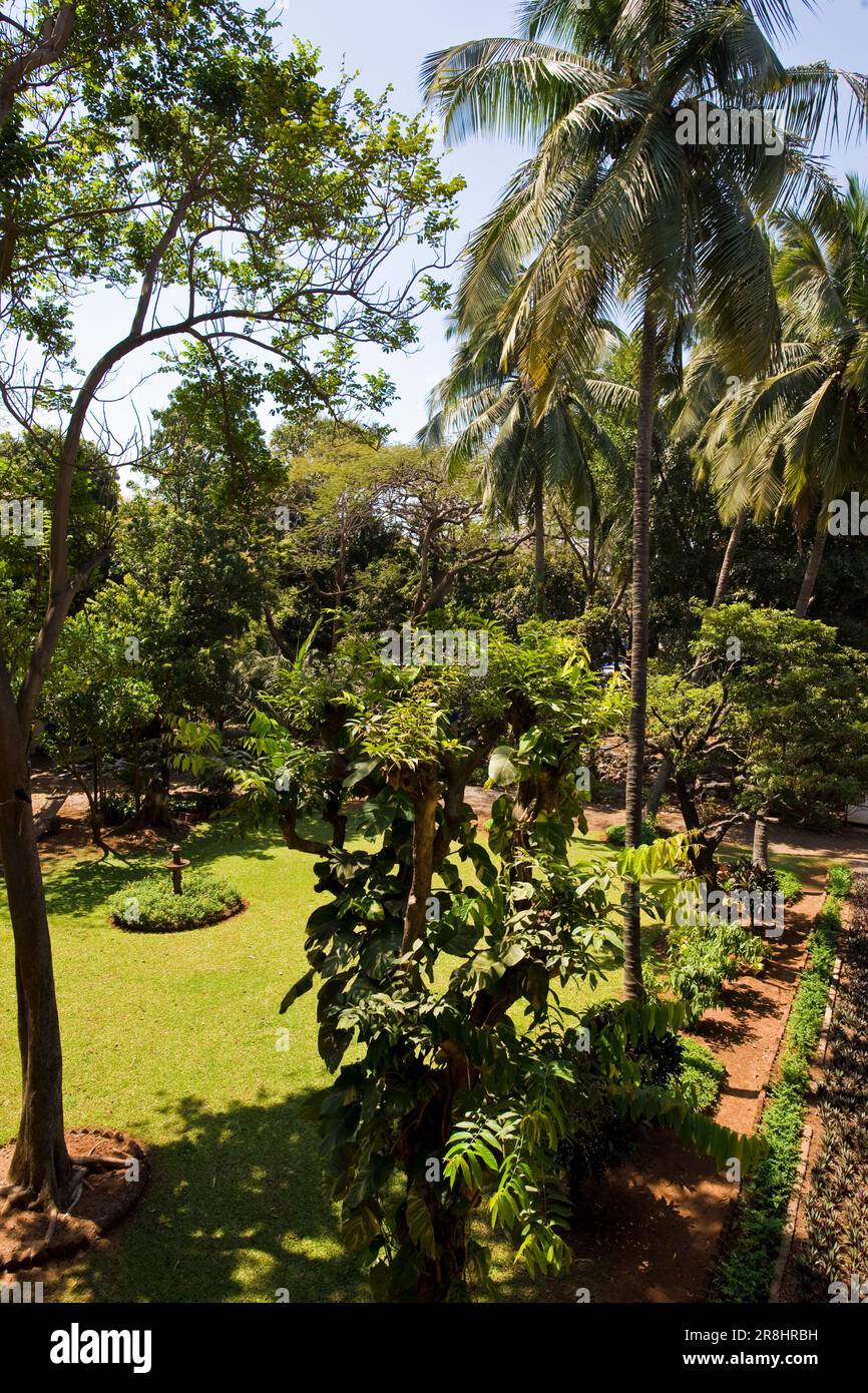 Jardin. Chatrapati Shivaji Maharaj Vatu Sangrahalaya. Musée du Prince de Galles de l'Ouest de l'Inde. Bombay. Inde Banque D'Images