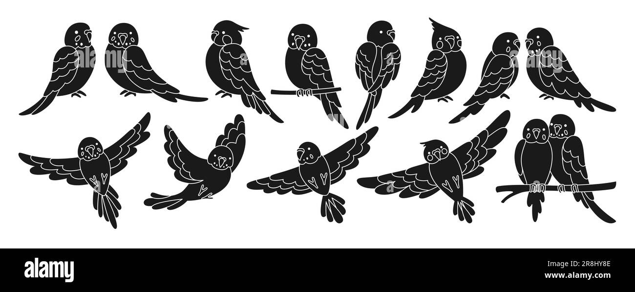 Ensemble de gravure tropicale Parrot. Collection d'oiseaux volant et assise exotiques sauvages d'été. Faune jungle hawaïenne perroquets mignons, drôle de jolis personnages de parakeet dessin à la main illustration vectorielle linéaire Illustration de Vecteur