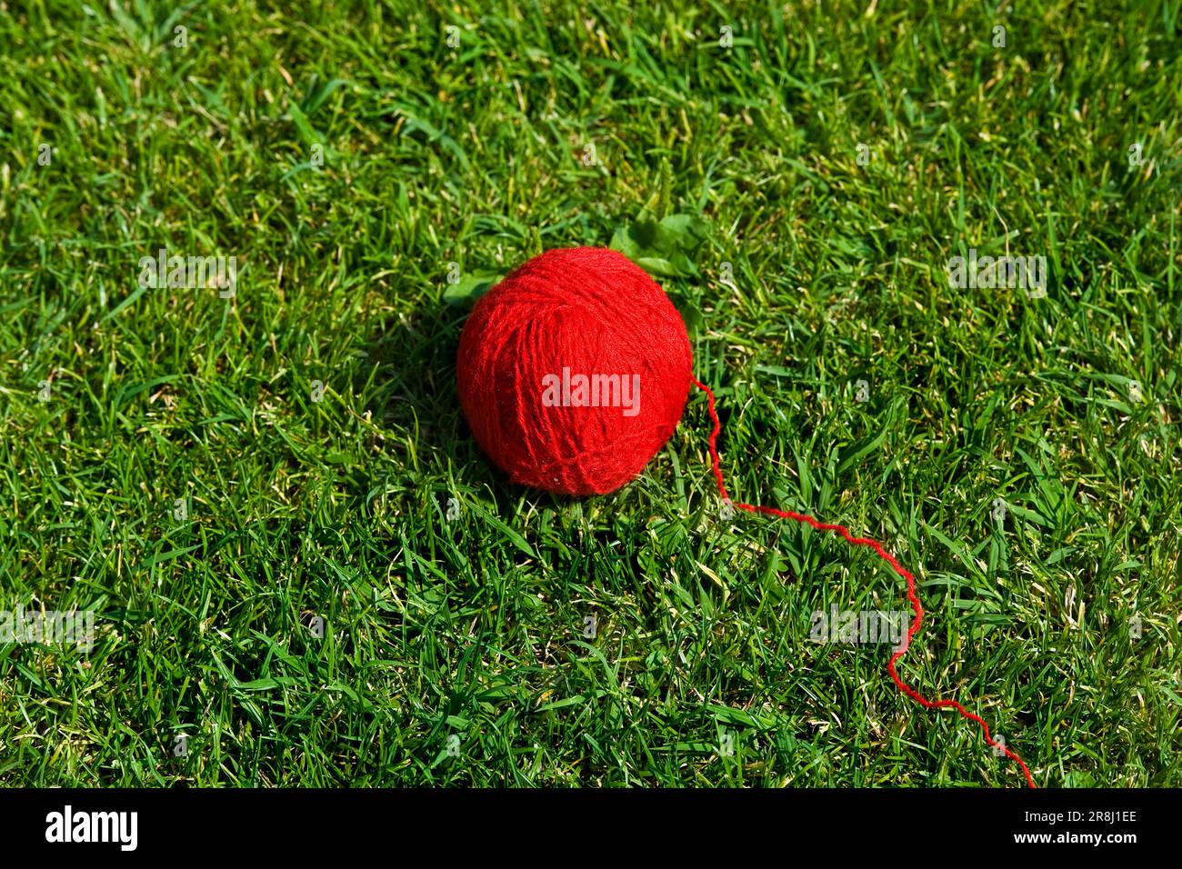 Balle de laine Banque D'Images