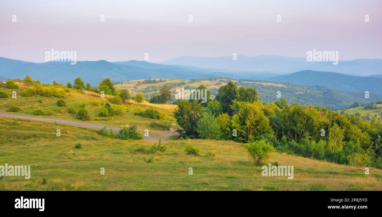 coucher de soleil sur la vallée rurale. arbres, champs et prairies sur des collines vallonnées. beauté de la campagne montagneuse des carpathes Banque D'Images