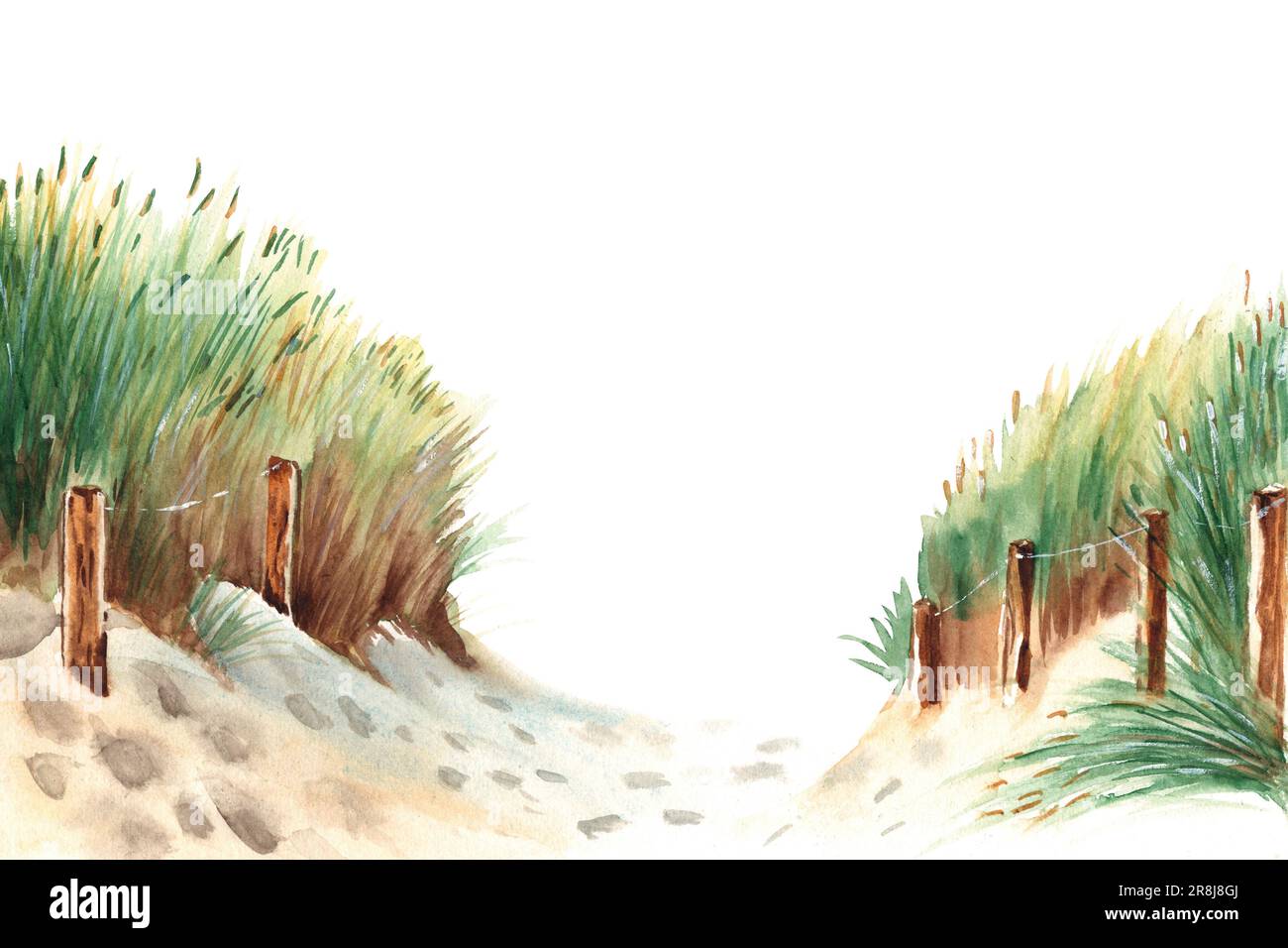 Plage de la mer Baltique avec dunes de sable, herbe et piquets en bois. Illustration aquarelle dessinée à la main. Banque D'Images