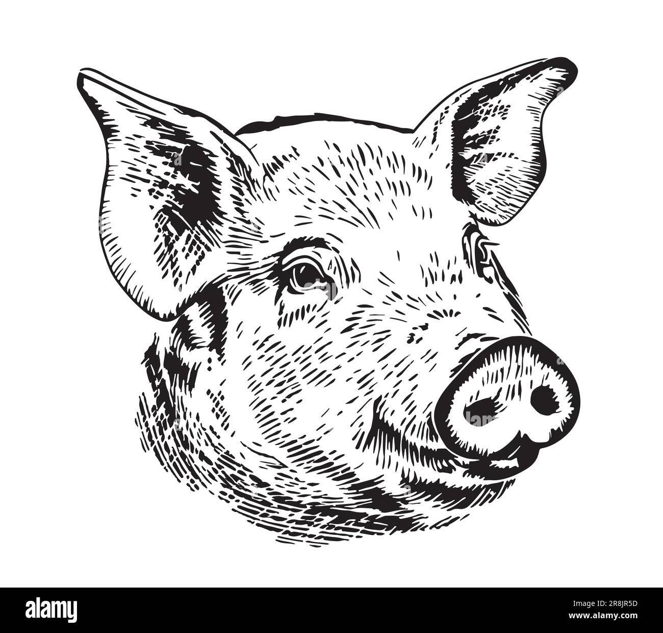 Dessin de cochon mignon dessiné à la main dans le style Doodle Farm Animals Vector illustration Illustration de Vecteur