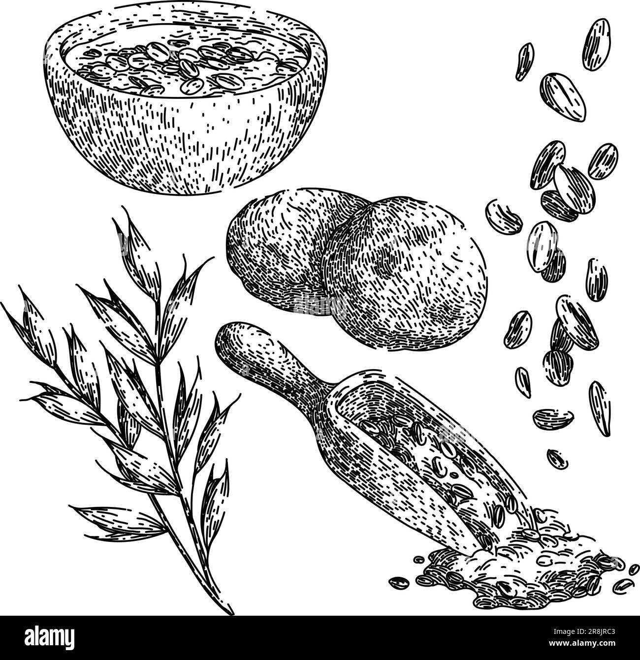 vecteur dessiné à la main pour ensemble de bol d'avoine et d'avoine Illustration de Vecteur