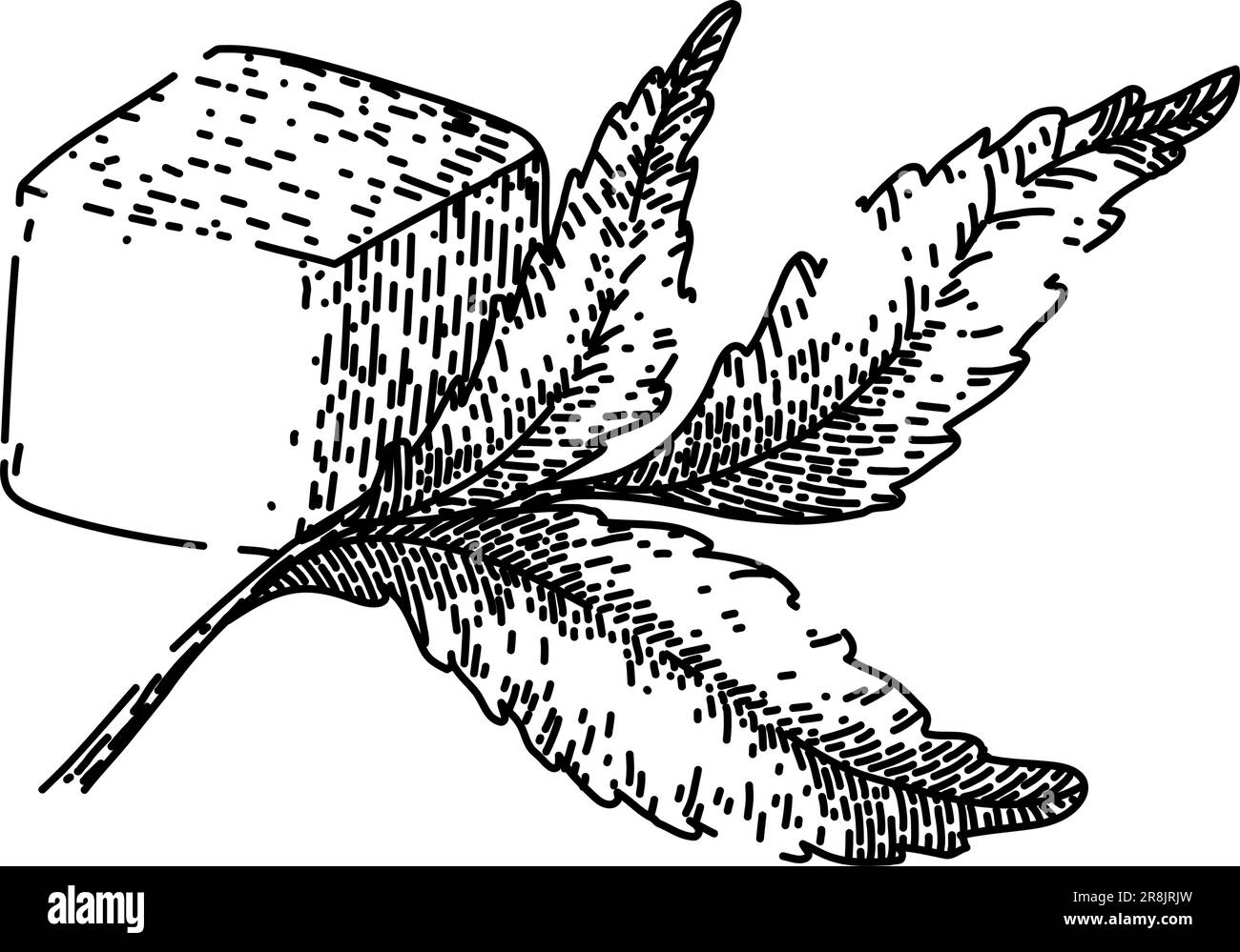 vecteur dessiné à la main pour croquis de sucre alimentaire stevia Illustration de Vecteur