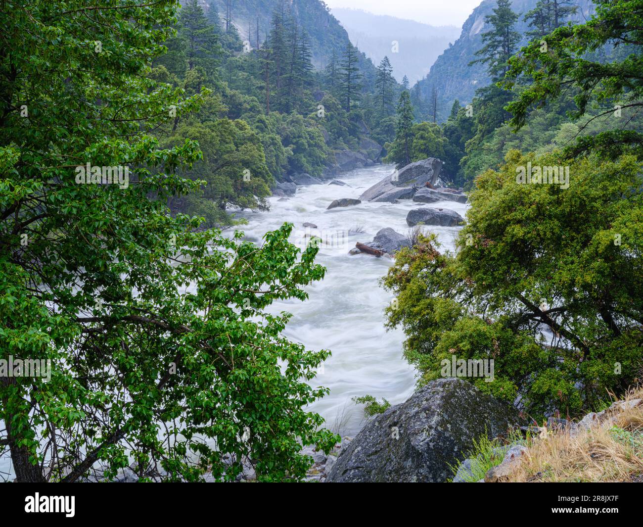 Yosemite connaît d'énormes niveaux d'eau et de fonte des neiges, avec des chutes d'eau qui se précipitent et débordent d'optimisme Banque D'Images