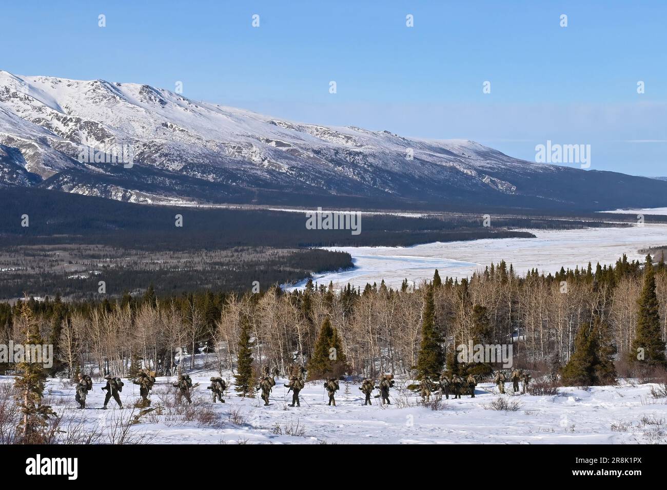 Cours des leaders par temps froid les élèves traversent le terrain accidenté du site d'entraînement de Black Rapids du centre d'entraînement de Northern Warfare. Les cadres de la NWTC ont travaillé des heures supplémentaires pour aider à répondre au besoin accru de plus d'experts de l'Arctique dans les unités pour aider à transmettre des connaissances essentielles dans les formations. (Photo de l'armée/John Pennell) Banque D'Images