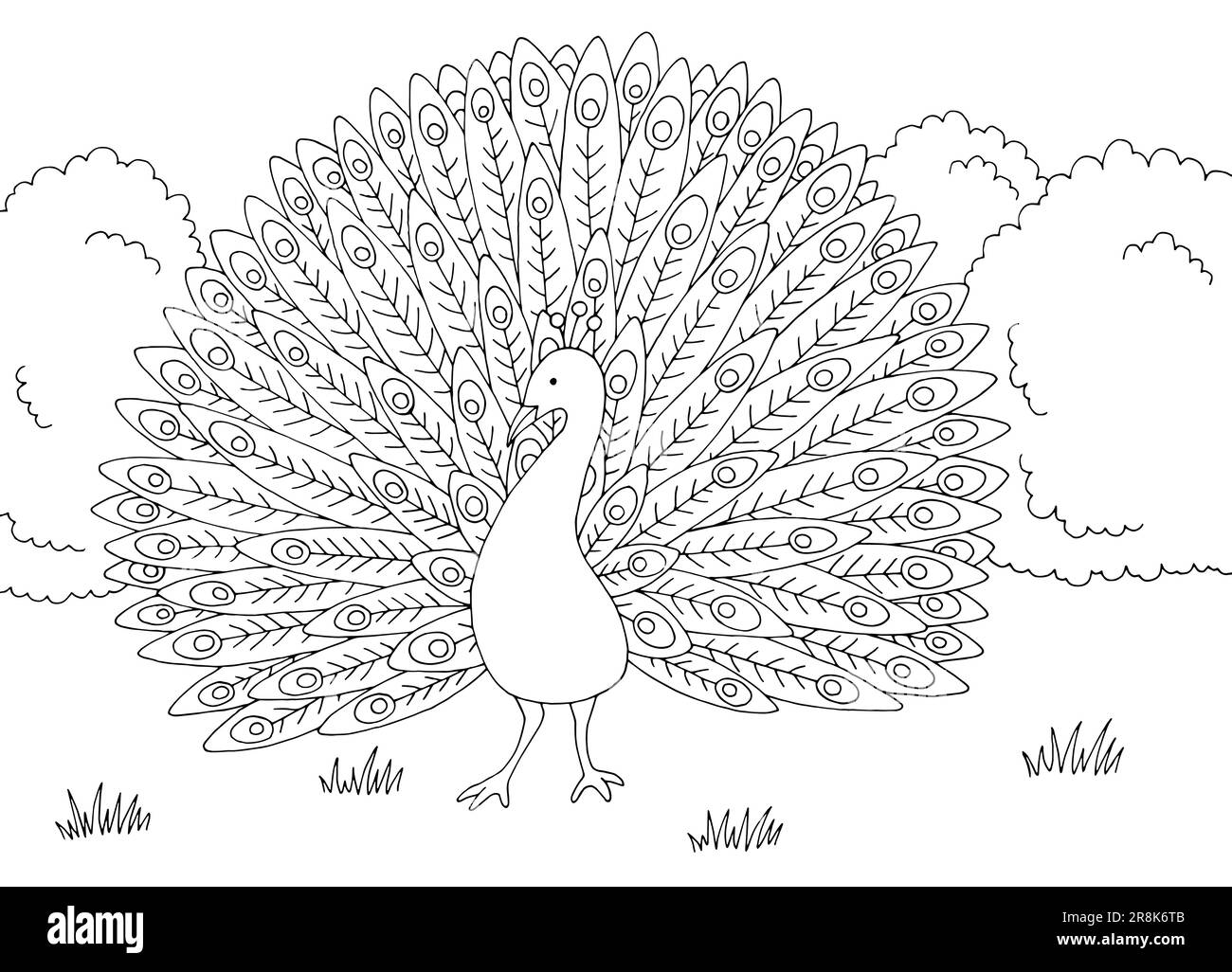 Peacock dans le jardin coloriage graphique noir blanc paysage dessin illustration vecteur Illustration de Vecteur