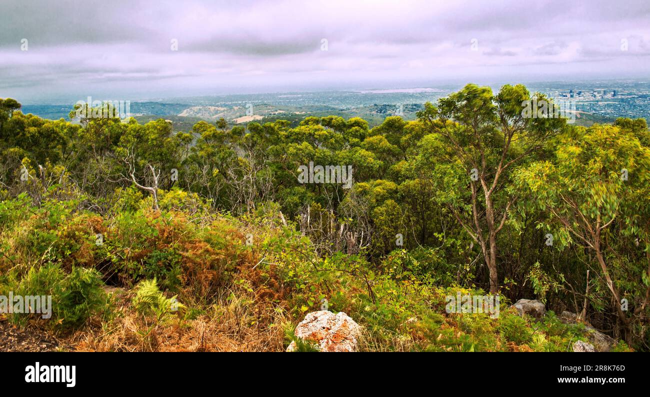 Vue panoramique sur les plaines et les contreforts d'Adélaïde depuis Mount Lofty Summit, Australie méridionale Banque D'Images