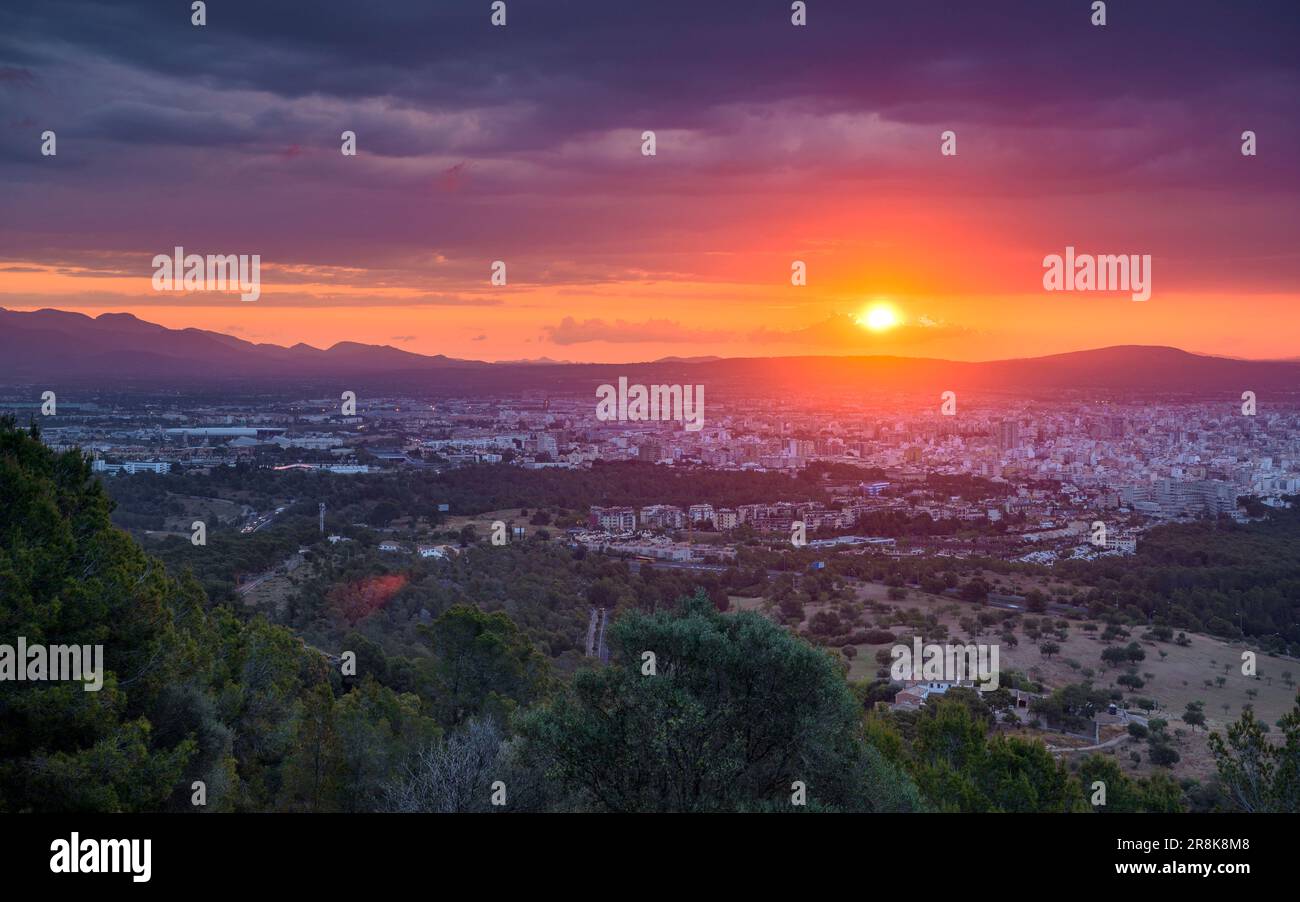La ville de Palma de Majorque au lever du soleil, vue du point de vue de Na Burguesa (Majorque, Iles Baléares, Espagne) ESP: Ciudad de Palma de Majorque Banque D'Images