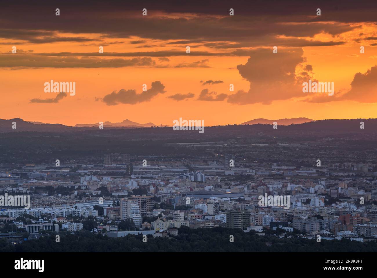 La ville de Palma de Majorque au lever du soleil, vue du point de vue de Na Burguesa (Majorque, Iles Baléares, Espagne) ESP: Ciudad de Palma de Majorque Banque D'Images
