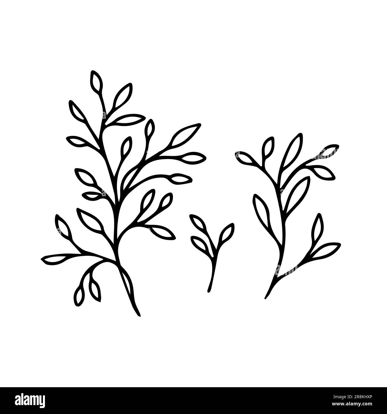 Fleurs simples feuilles design main dessiné ligne herbe de mariage, les feuilles pour l'invitation sauver la carte de date. Verdure botanique rustique et tendance Illustration de Vecteur