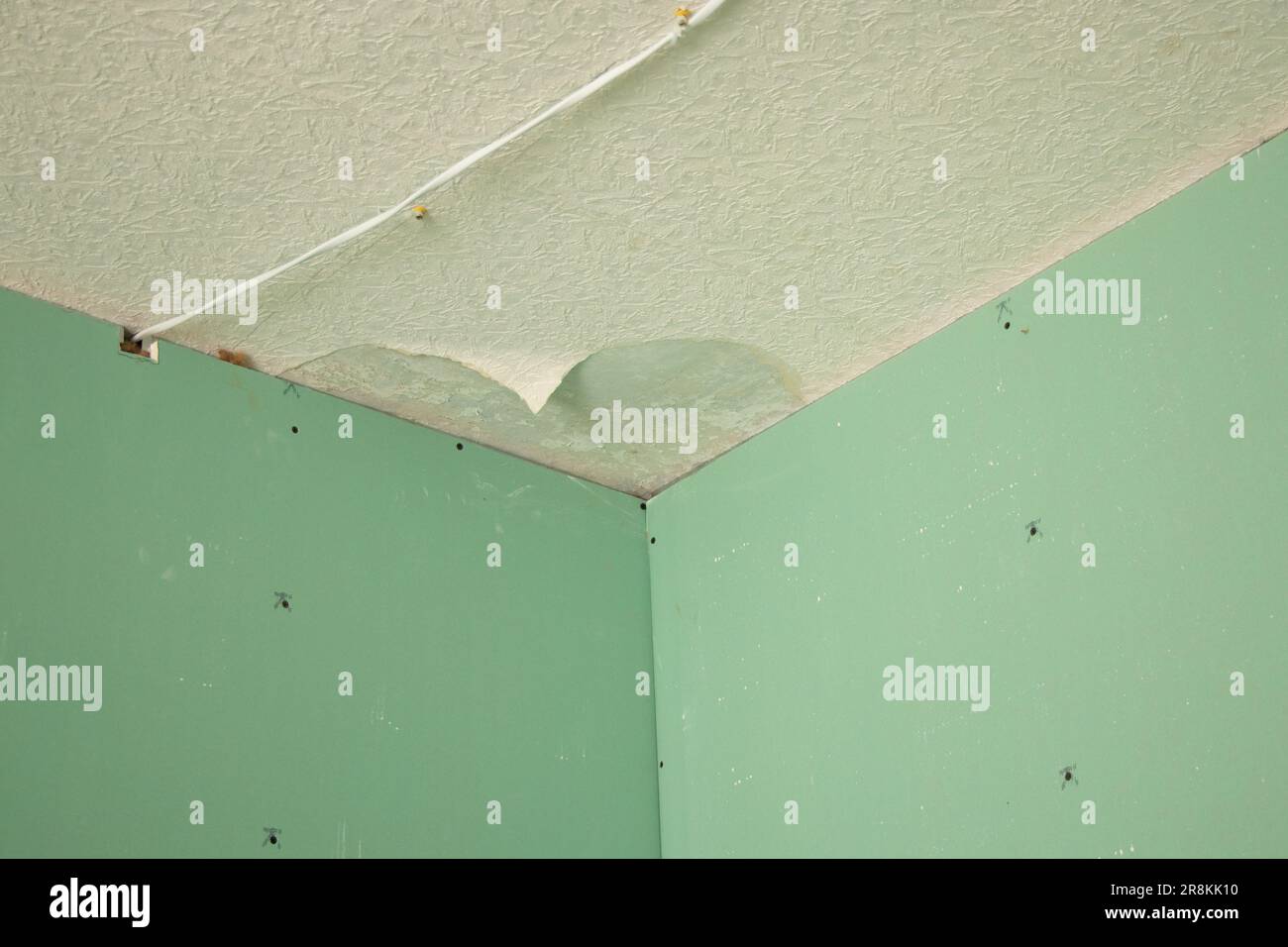 le mur est gainé de plâtrier vert résistant à l'humidité dans l'appartement, travaux de rénovation à la maison Banque D'Images