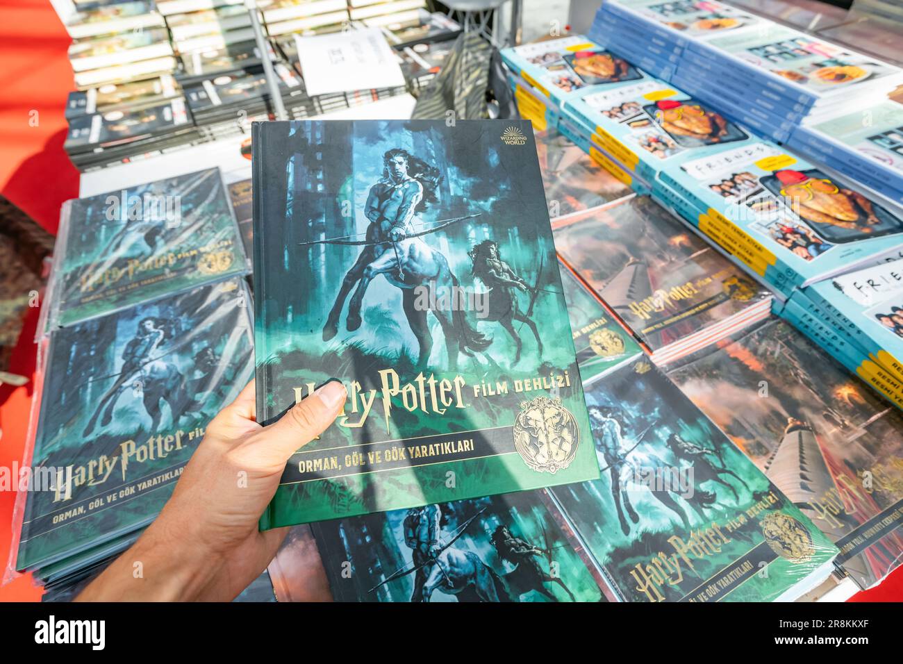28 octobre 2022: Antalya, Turquie: Livre Harry Potter en main à la foire du livre turc Banque D'Images