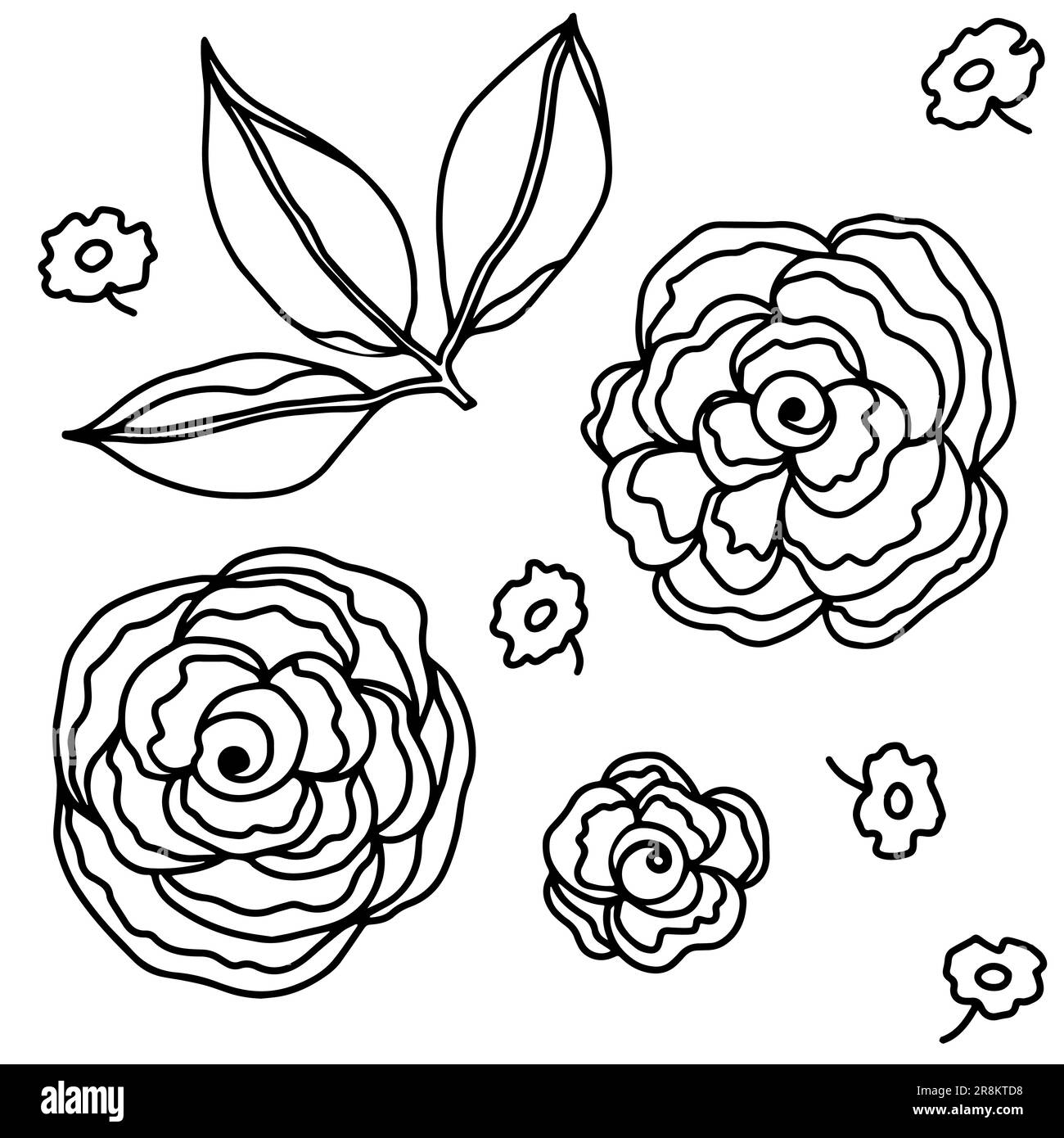 Tête de fleur de rose. Fleur botanique florale. Encre dessinés à la main Elément d'illustration de rose isolé sur blanc. Illustration de Vecteur