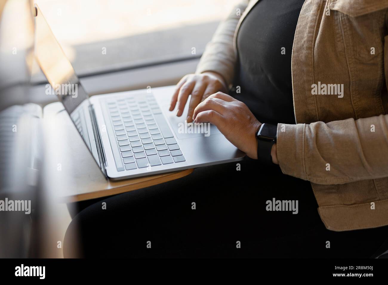 Section moyenne d'une femme utilisant un ordinateur portable pendant le voyage en train Banque D'Images