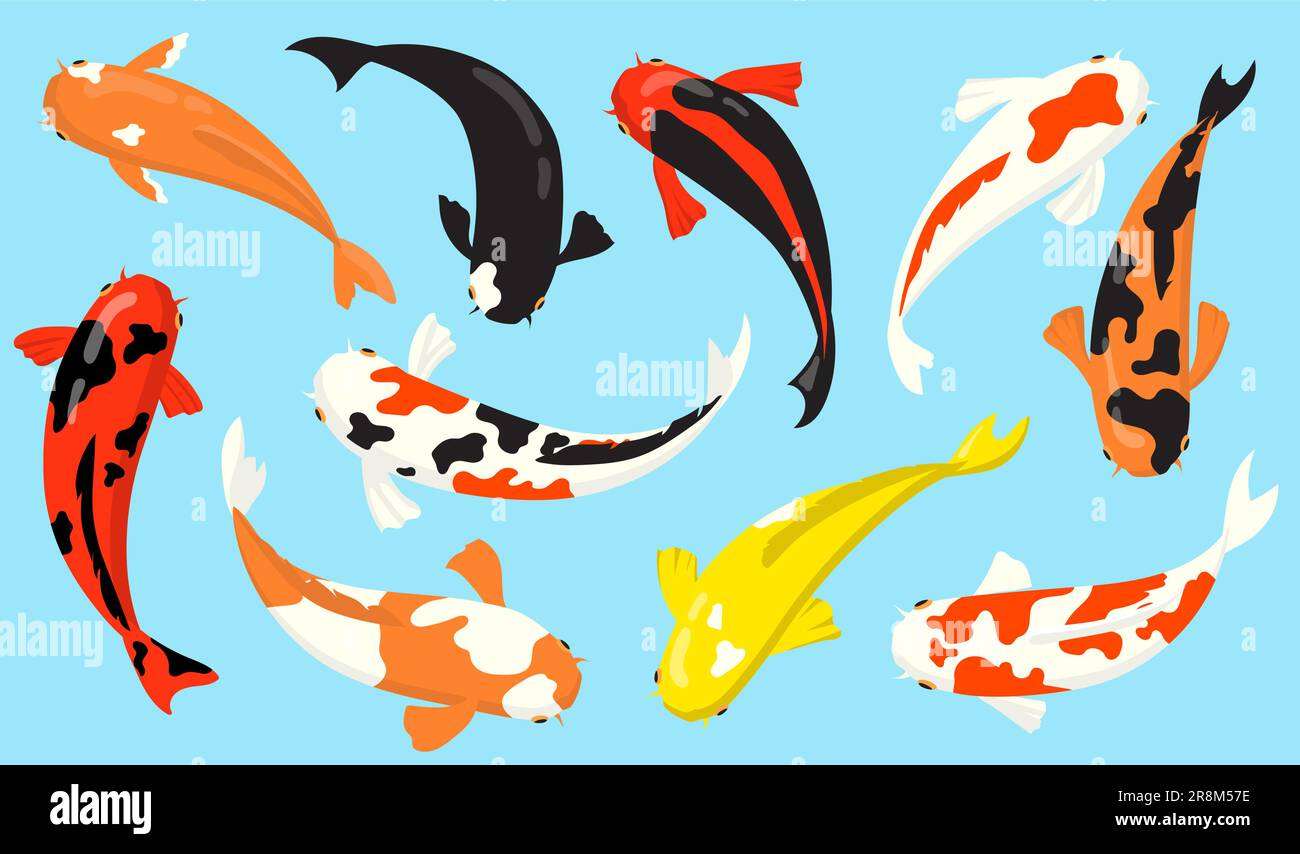 Vue de dessus de koi carpe poissons plat icône ensemble Illustration de Vecteur