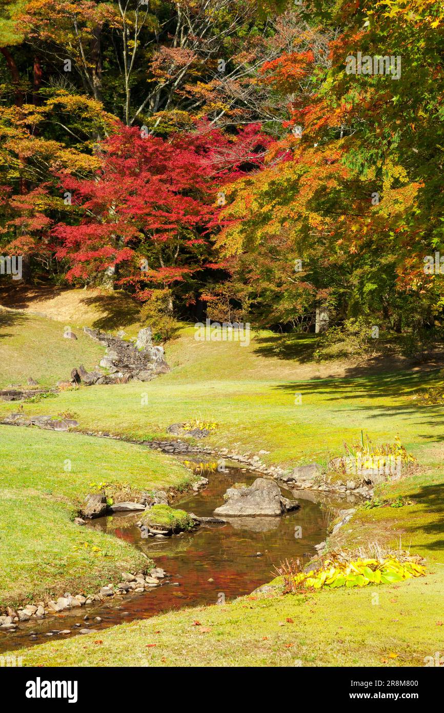 Feuilles d'automne du temple de Motsuji Banque D'Images