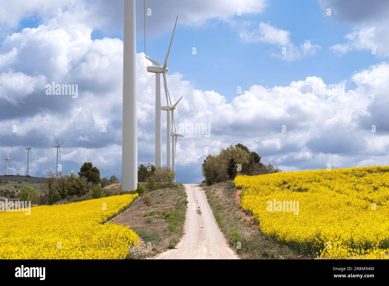 Éoliennes entre champs agricoles avec plantations de colza sur les collines de la province de Tarragone en Espagne Banque D'Images