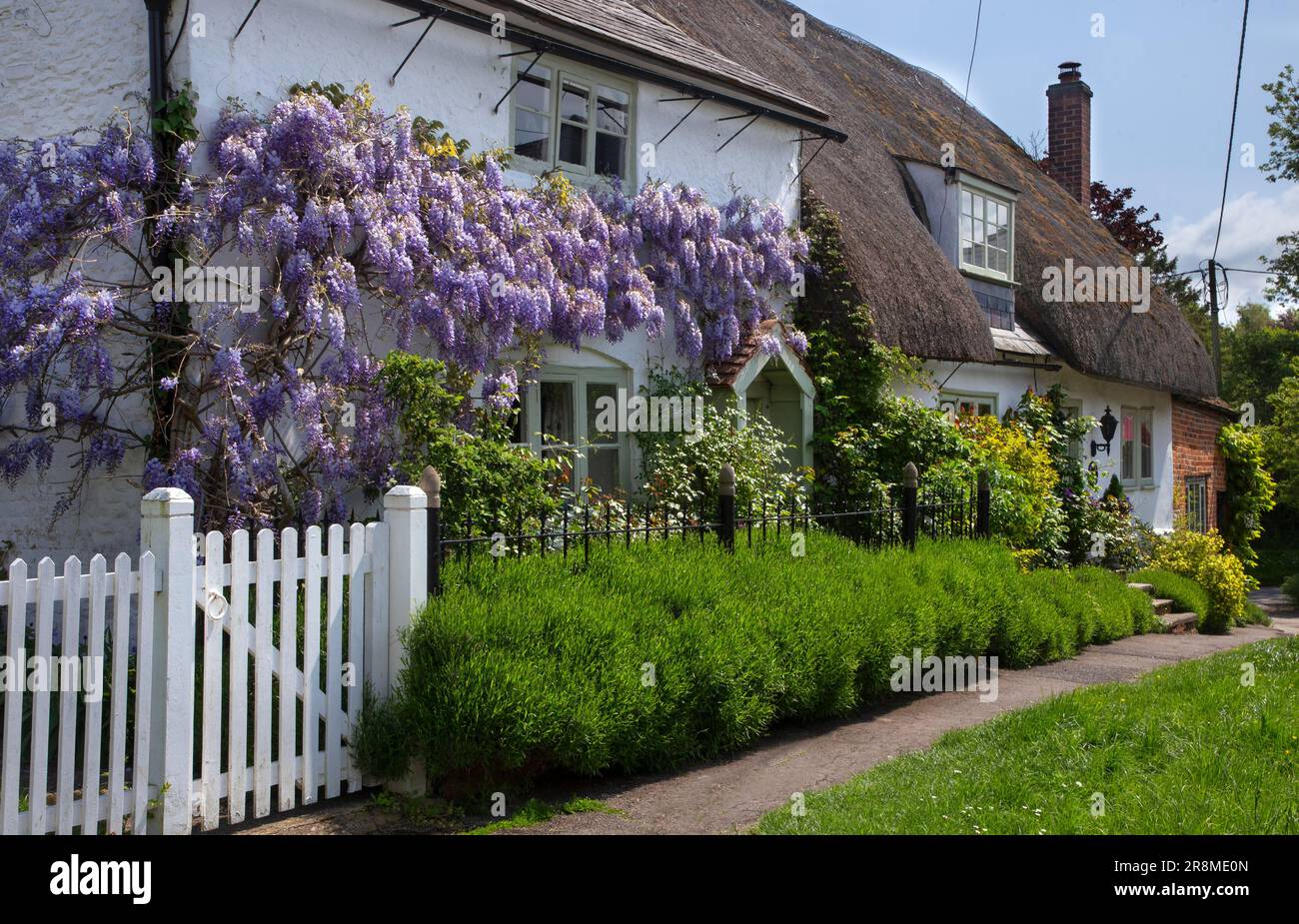 Cottages de village avec Wisteria à Childrey, Oxfordshire, Angleterre Banque D'Images