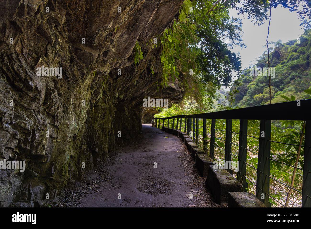 Sentier de randonnée de Shakadang au parc national de Taroko Taiwan. Le paysage protégé de forêt de montagne nommé d'après le site touristique de la gorge de Taroko, sculpté par le Th Banque D'Images