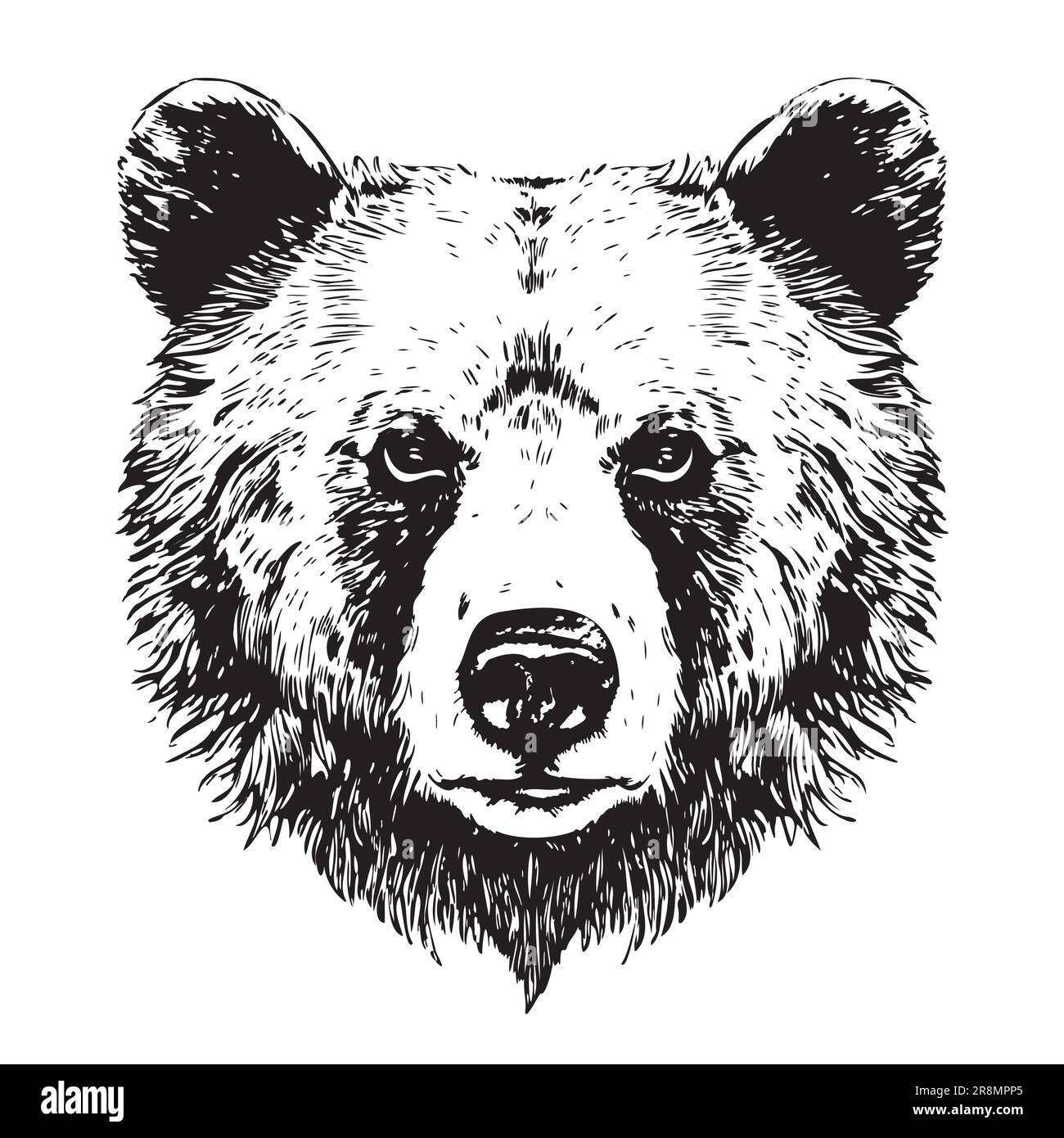 Dessin de la tête d'ours dessiné à la main dans l'illustration de style Doodle Illustration de Vecteur
