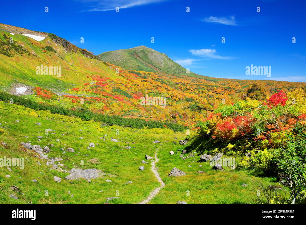 Parcours de trekking dans le plateau de Taisetsu Banque D'Images