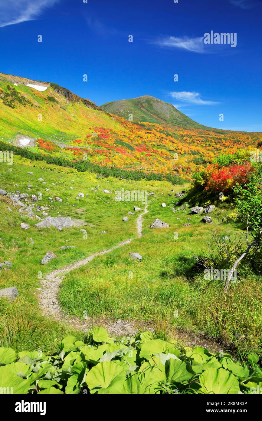 Parcours de trekking dans le plateau de Taisetsu Banque D'Images