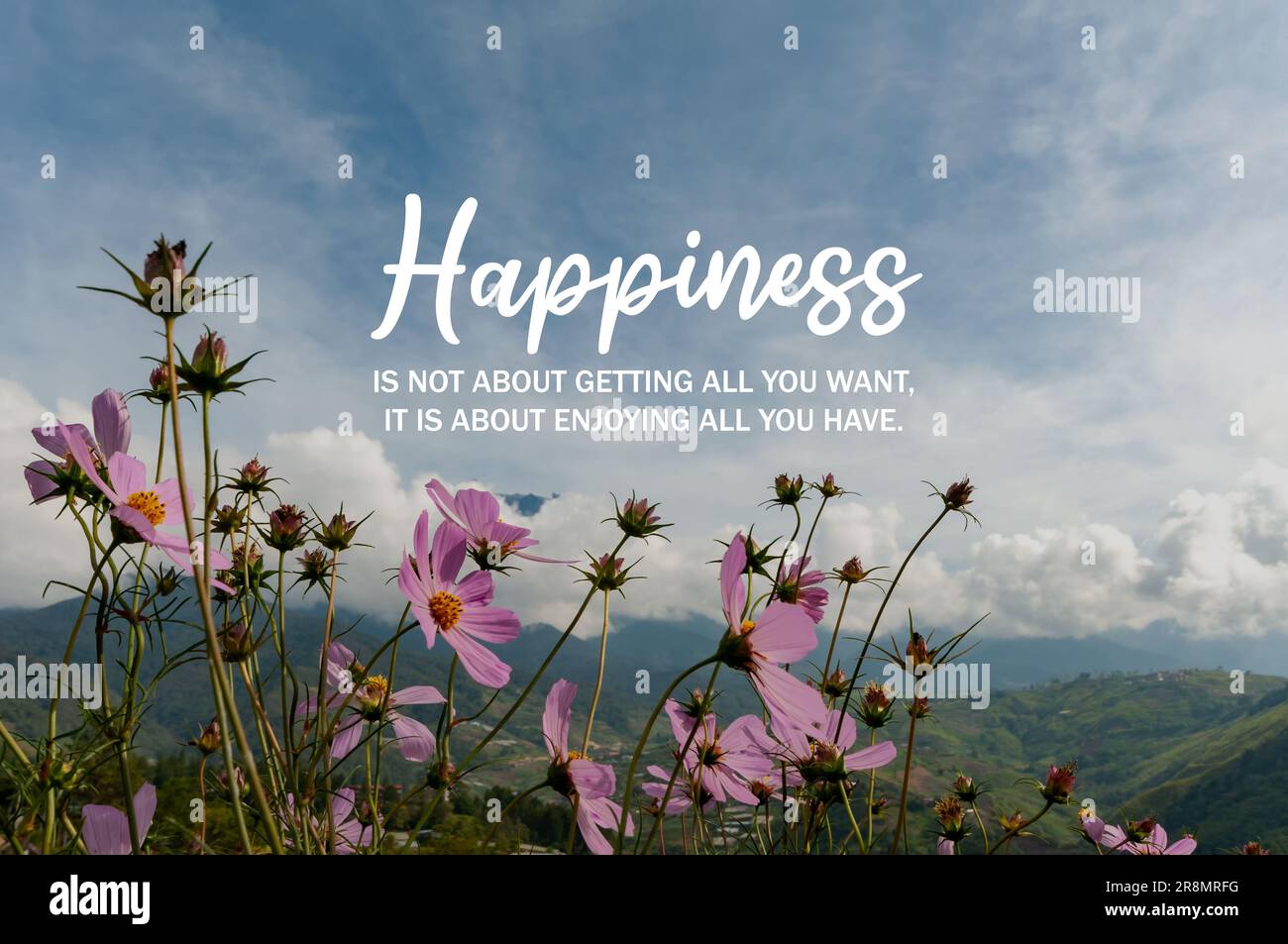 Fleur d'été avec des citations inspirantes - Happiness n'obtient pas tout ce que vous voulez, il est au sujet de profiter de tout ce que vous avez Banque D'Images