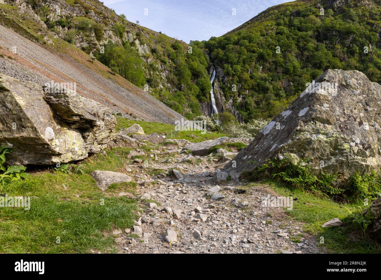 Chutes d'Aber, Réserve naturelle nationale de Coedydd Aber, Abergwyngregyn, Llanfairfechan, Grande-Bretagne, vert, été, arbres Banque D'Images