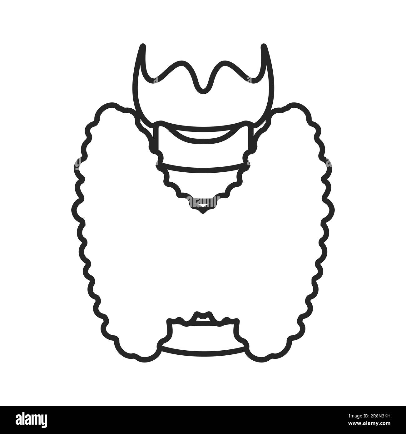 Icône de contour d'organe corporel de la glande thyroïde saine Illustration de Vecteur