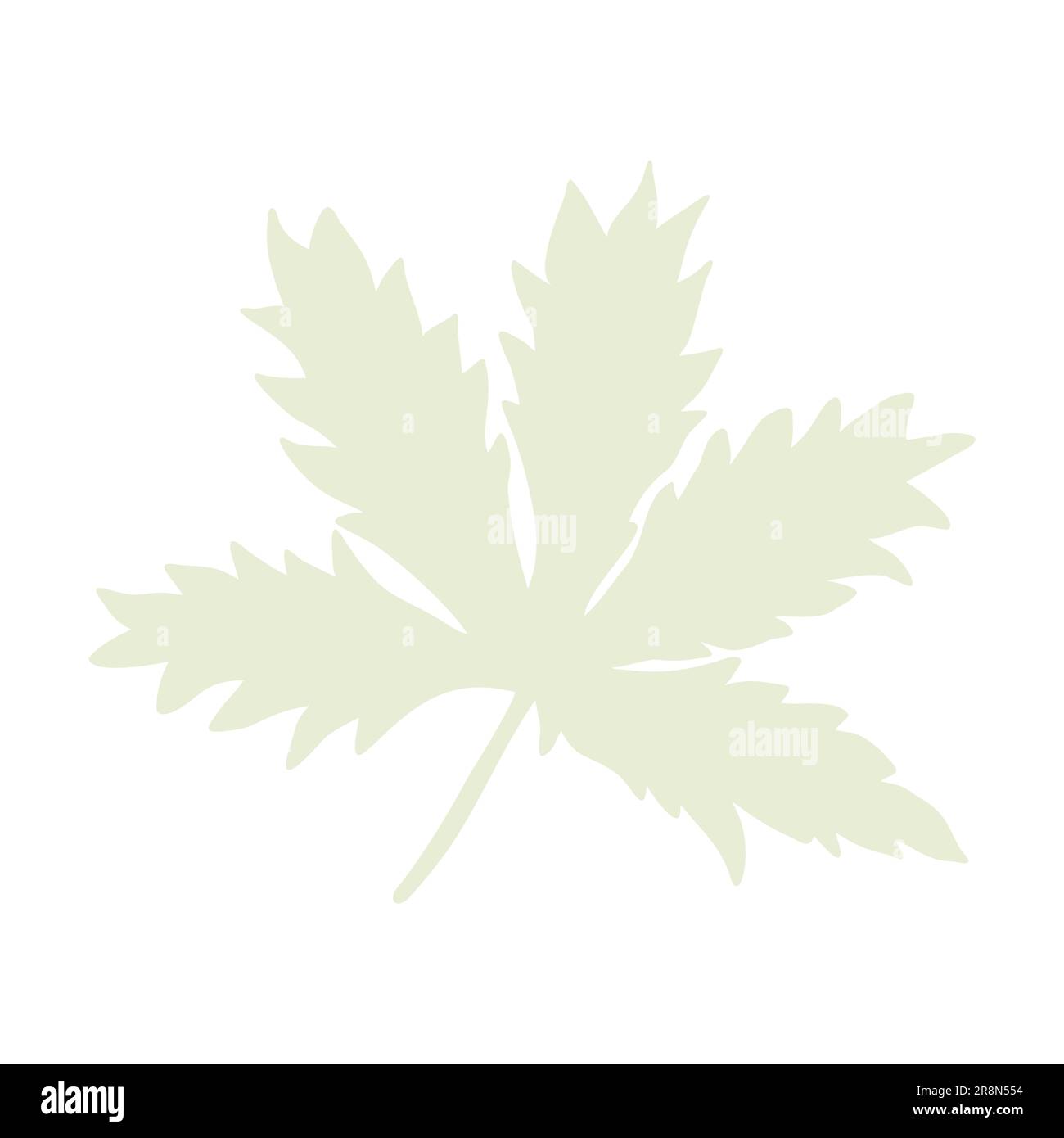 Feuilles dessinées à la main, éléments floraux isolent sur fond blanc.plantes élément illustré Design pour la décoration et l'impression. Illustration de Vecteur Feuilles dessinées à la main, éléments floraux isolent sur fond blanc.plantes élément illustré Design pour la décoration et l'impression. Illustration de Vecteur