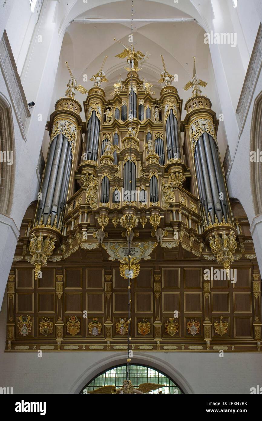 Orgue Stellwagen, St. Eglise de Marie, Stralsund, Mecklembourg-Poméranie occidentale, orgue d'église, Allemagne Banque D'Images