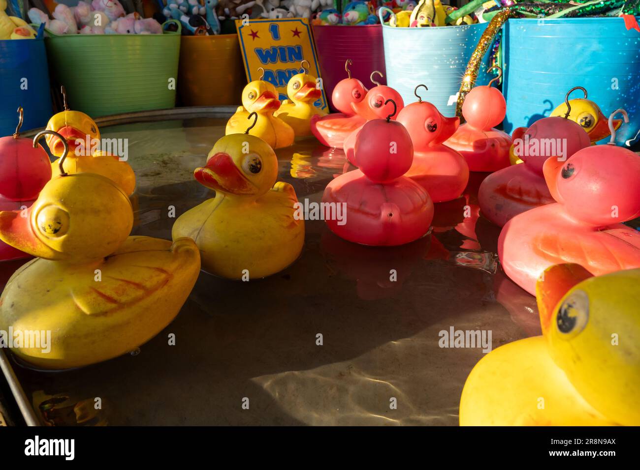 Canards flottants au stand secondaire Hook-a-Duck au Funfair. Banque D'Images