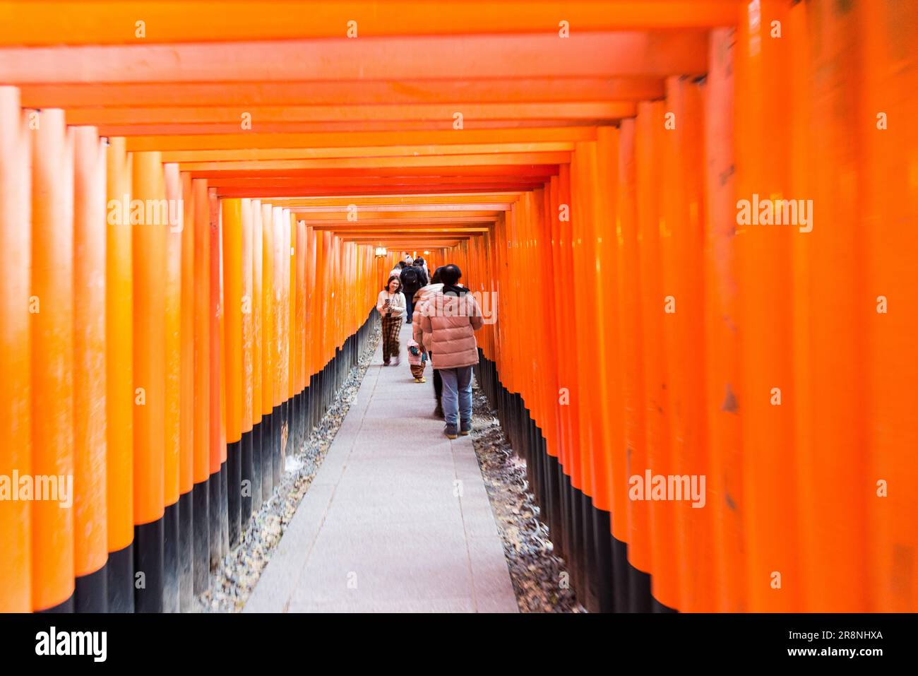 Portes Fushimi Inari, Kyoto, Japon Banque D'Images