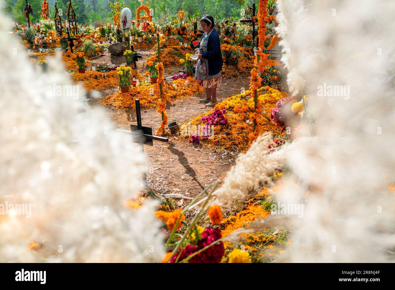 Une femme indigène mexicaine se promène entre les tombes dans un cimetière pendant les festivités du jour des morts à Tzurumútaro, Michoacán, Mexique. Banque D'Images