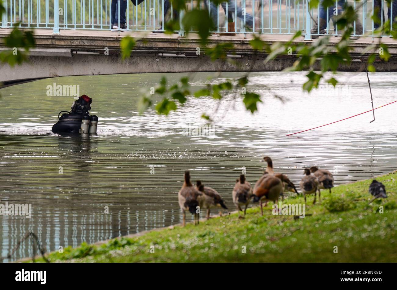 Plongeur de police effectuant une recherche de sécurité dans le lac de St. Parc James le matin du mariage royal de 2011. Vérification sous le pont Banque D'Images