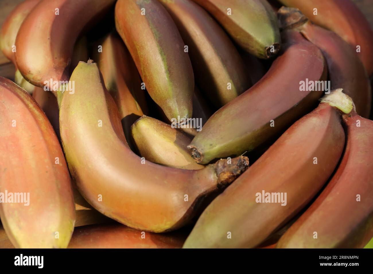 De délicieuses bananes pourpres comme arrière-plan, vue de dessus Banque D'Images