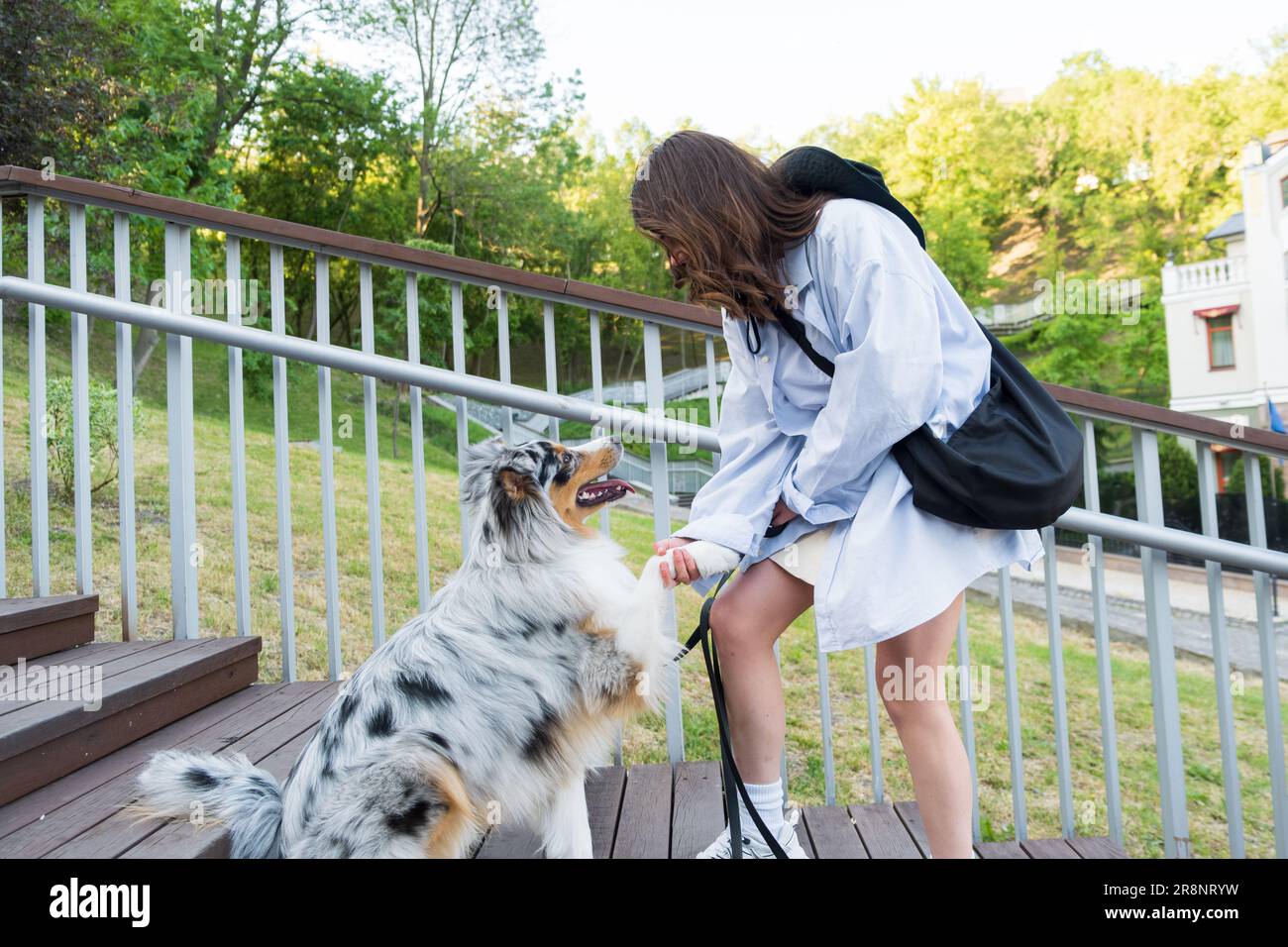Jeune femme enseignant son mignon chien australien "shake" commande. Blue merle berger australien dans la zone urbaine du parc à côté de la femme propriétaire Banque D'Images
