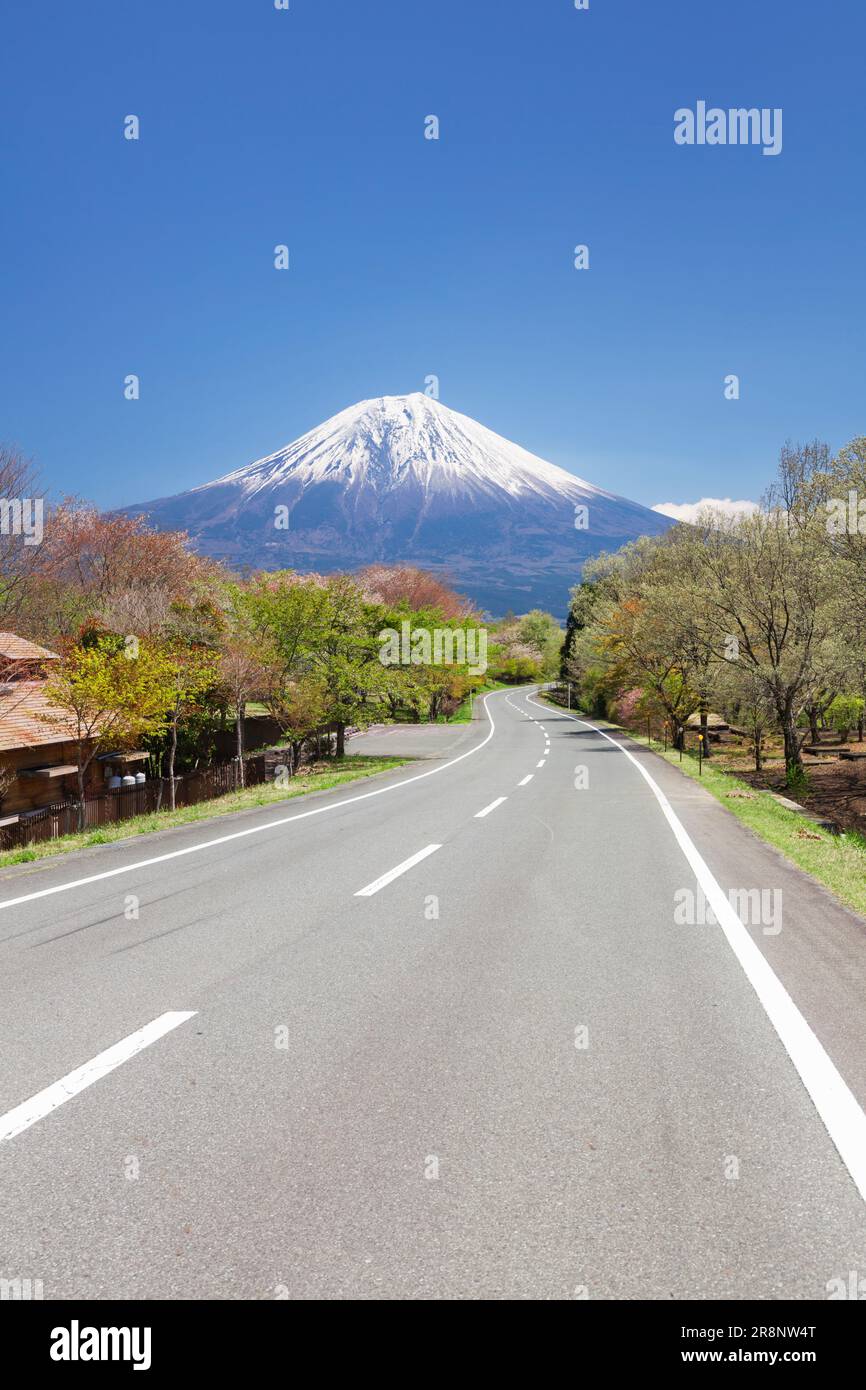 Mt. Fuji et route Banque D'Images