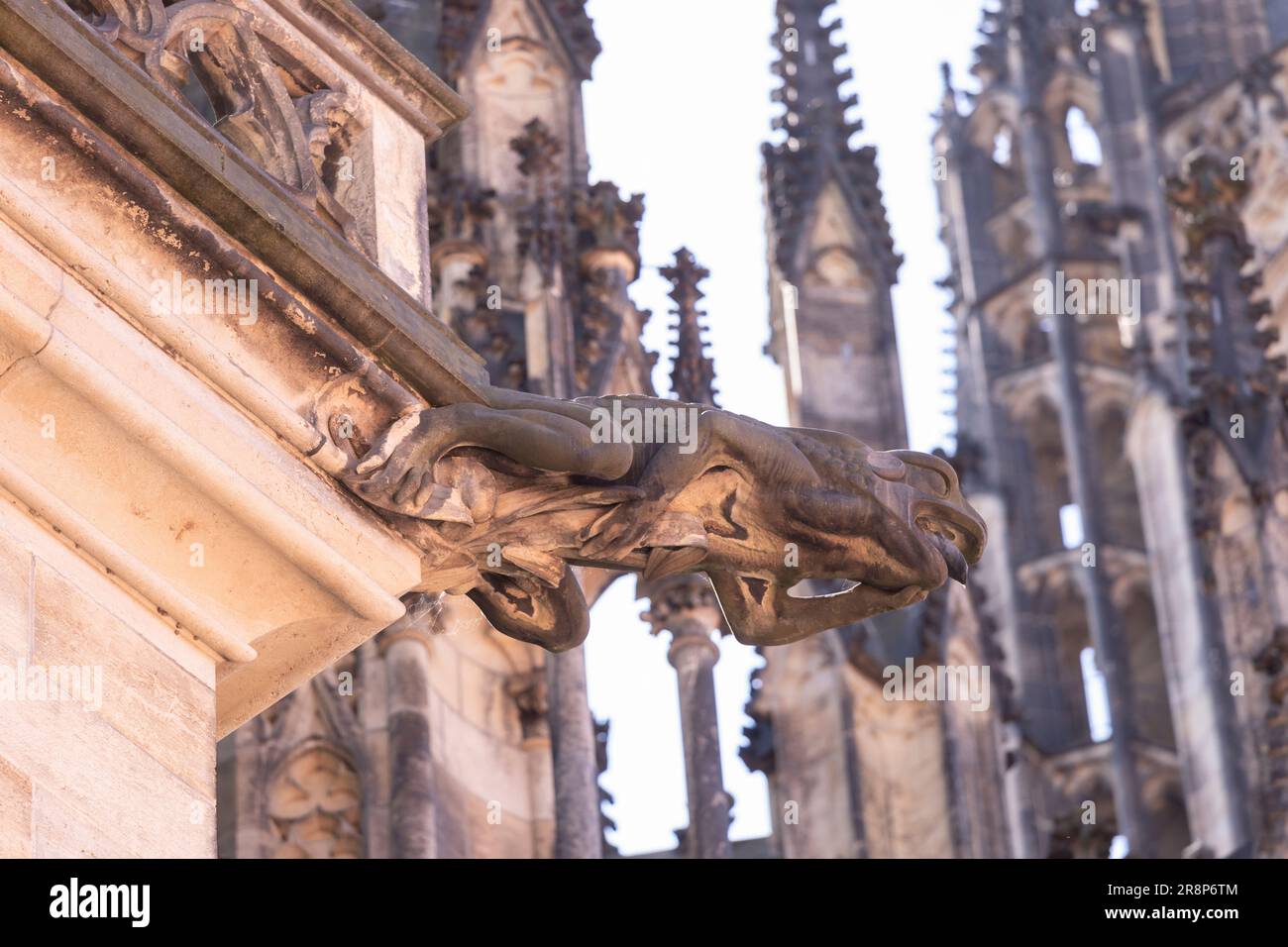 PRAGUE, RÉPUBLIQUE TCHÈQUE, EUROPE - ST. Gargouille de la cathédrale de Vitus. Banque D'Images