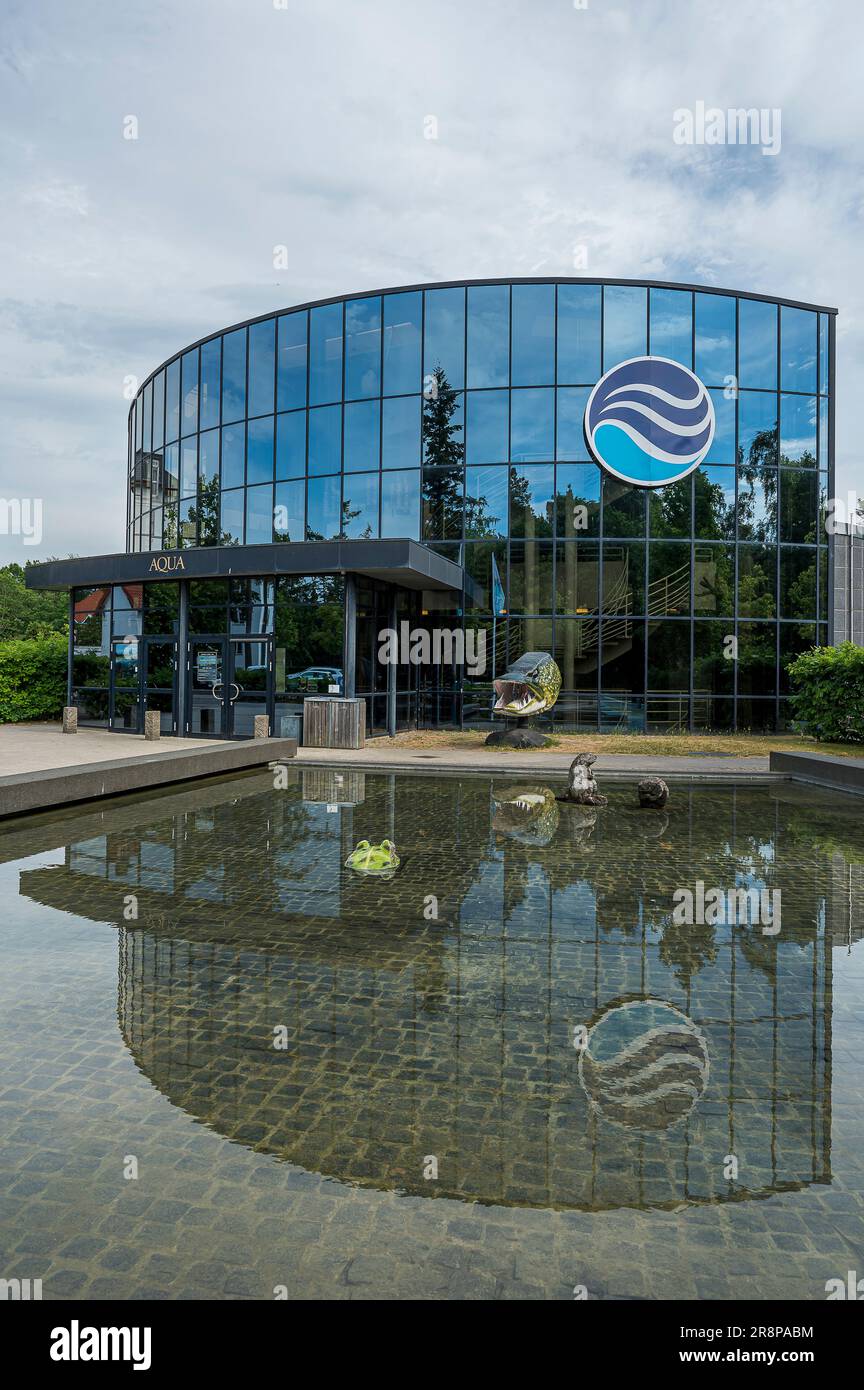 AQUARIUM AQUATIQUE réflexions d'aquarium d'eau douce dans l'étang, Silkeborg, Danemark, 22 juin, 202 Banque D'Images