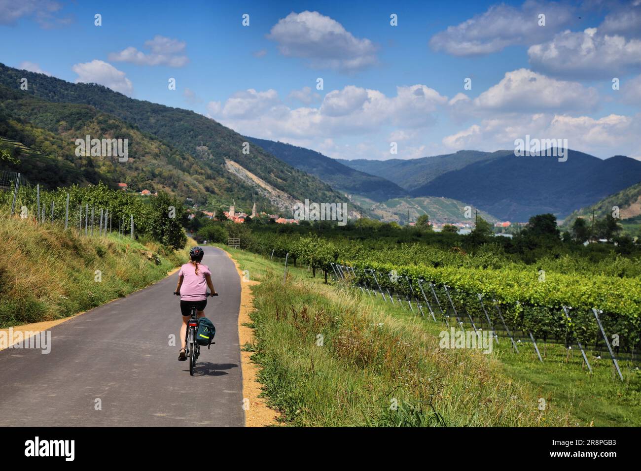 Chemin du Danube à vélo (Donauradweg) dans la région de Wachau. Piste cyclable longue distance en Autriche. Banque D'Images