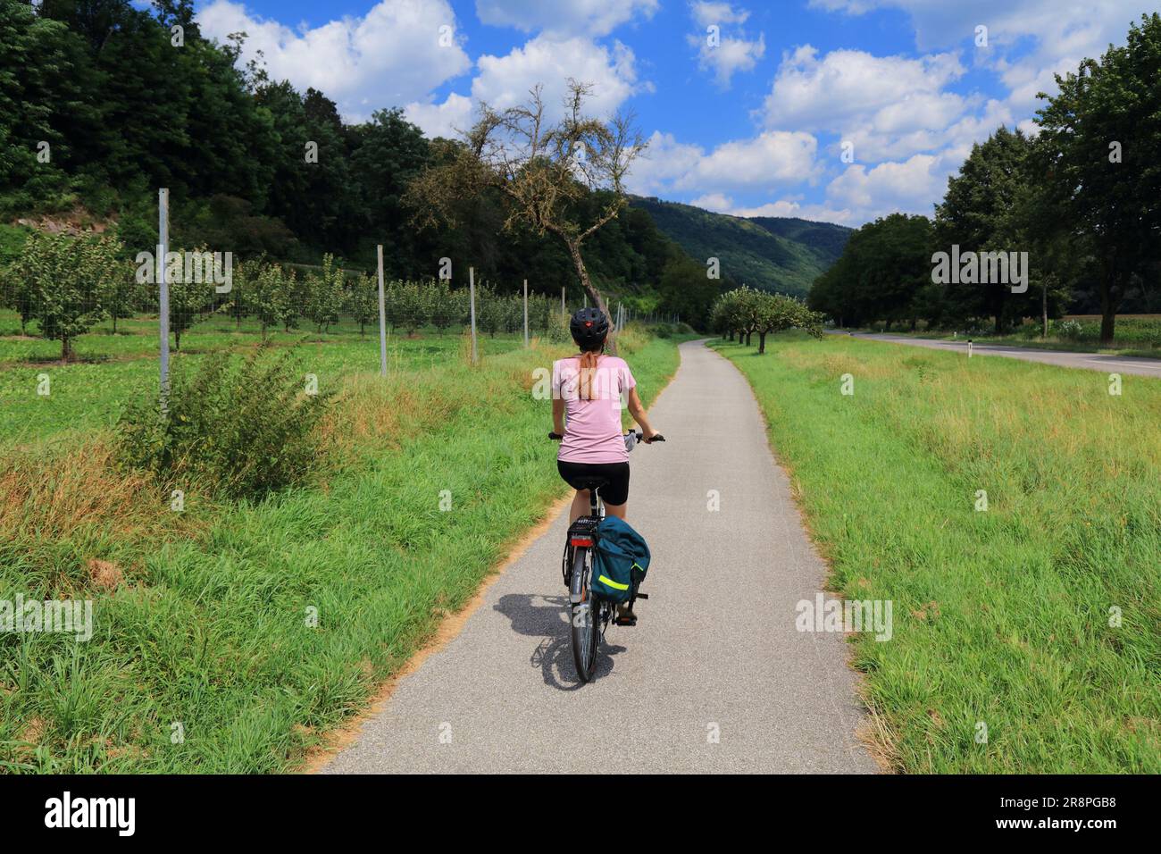 Chemin du Danube à vélo (Donauradweg) dans la région de Wachau. Piste cyclable longue distance en Autriche. Banque D'Images