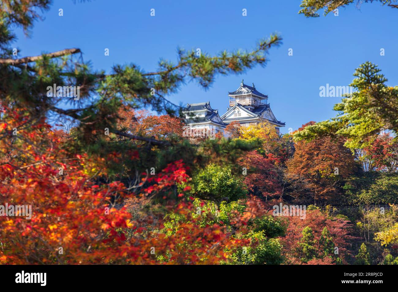 Château Echizen Ono Banque D'Images