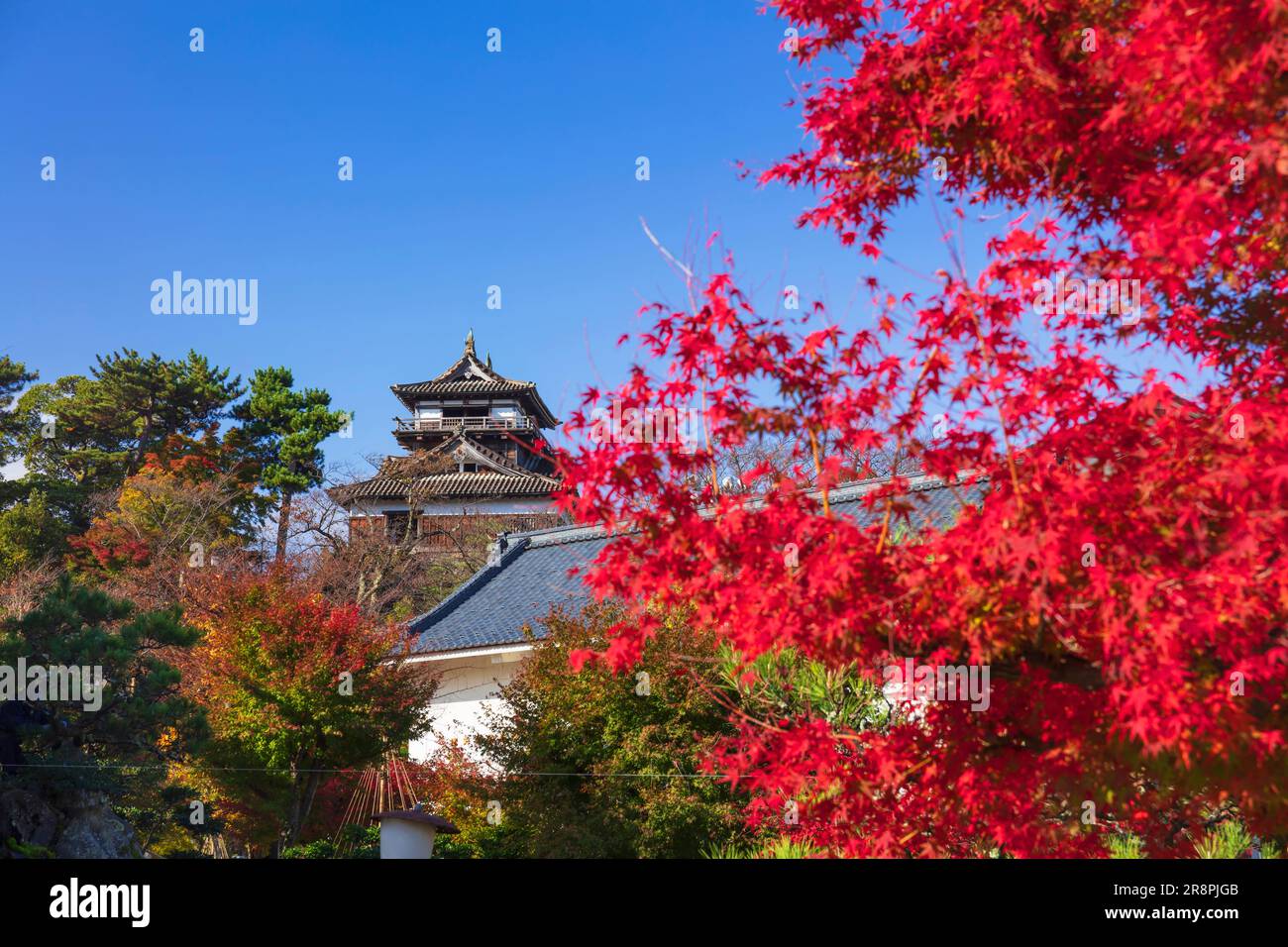 Château de Maruoka Banque D'Images